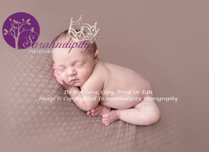 Lily - Newborn baby Session Baby photographer essex