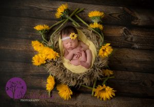 sunflowers Baby Newborn Photography Essex Grays
