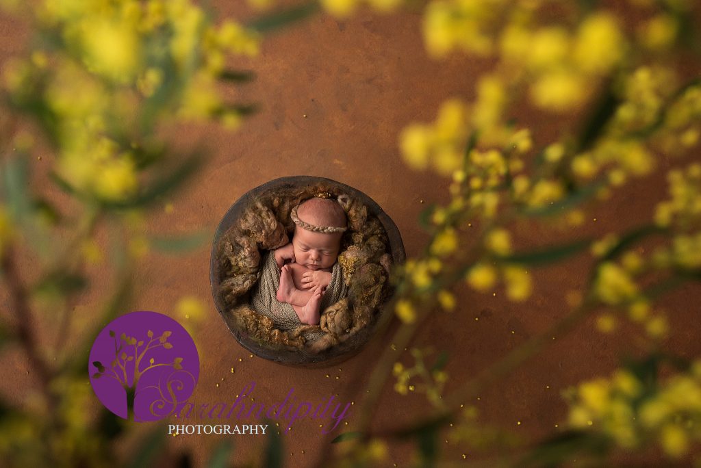 Newborn Photography Essex Beautiful Baby Photos Thurrock